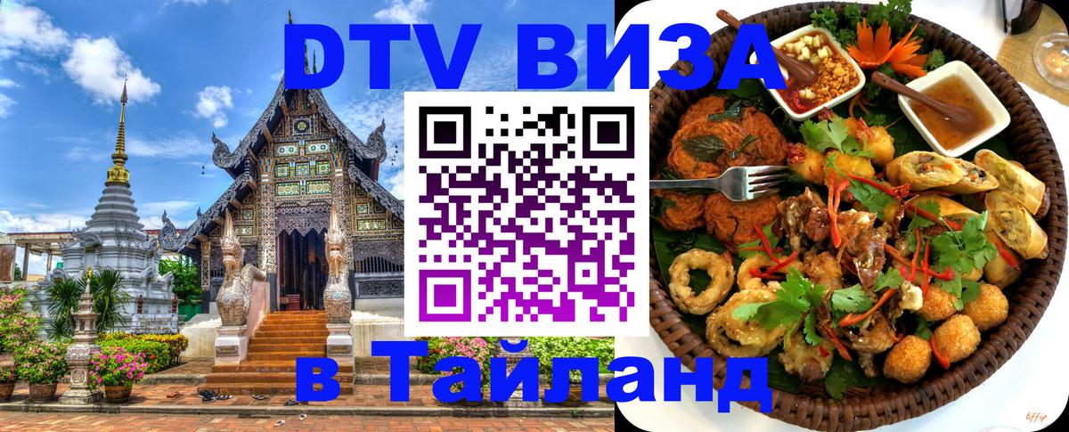 Оформление DTV визы под ключ: стоимость и тарифы, только загранпаспорт - 